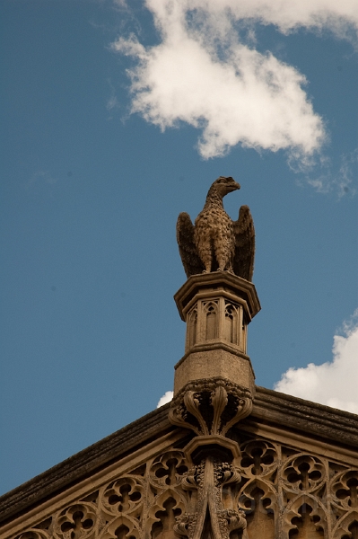 Ed -DSC_0091.jpg